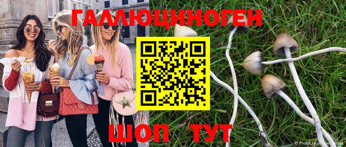 Псилоцибиновые грибы MAGIC MUSHROOMS  Вход с VPN  Боровичи 