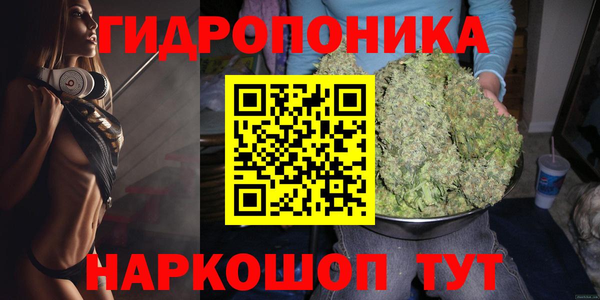 Бошки Шишки семена Боровичи